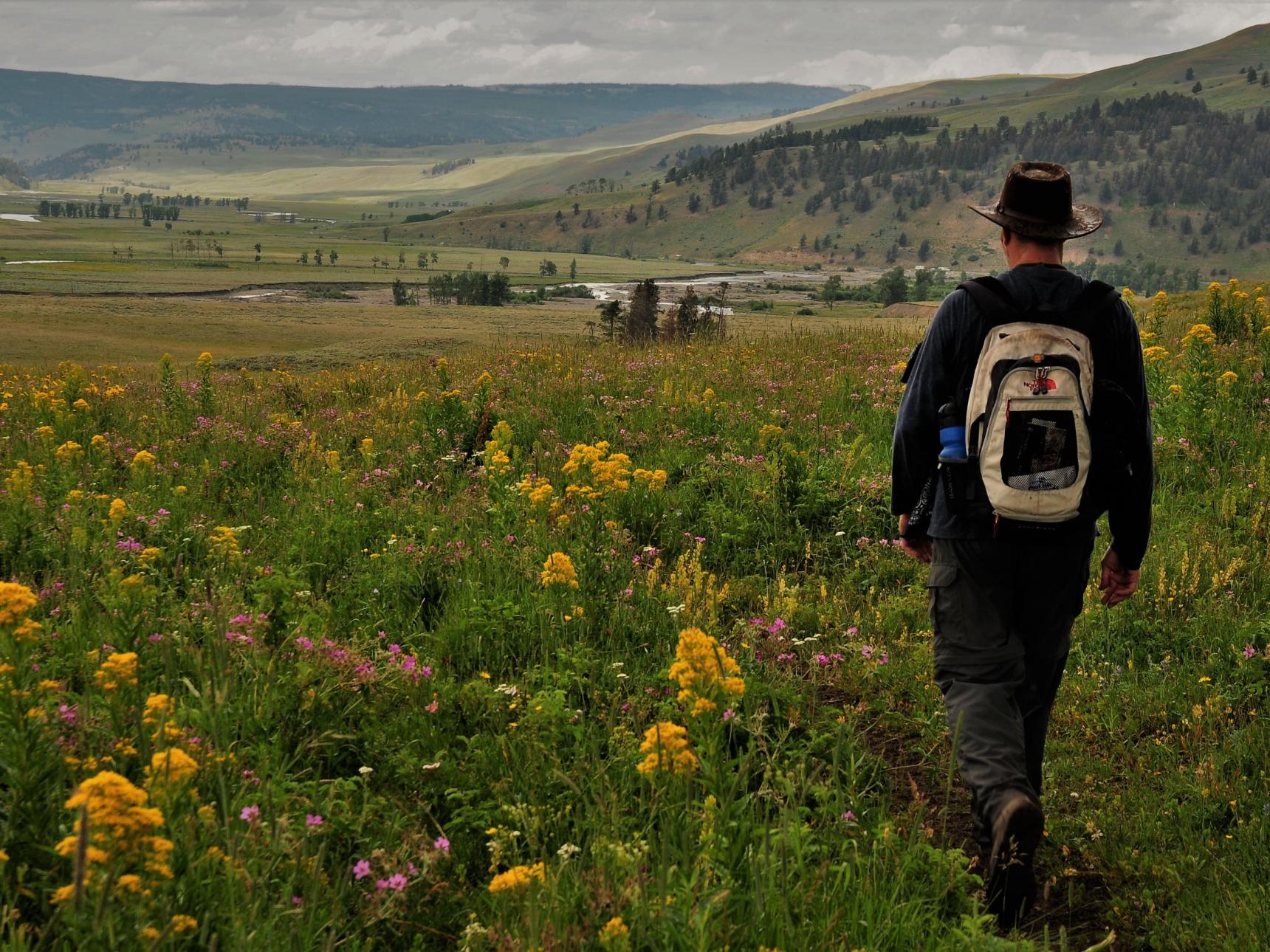 Hiking through the Lamar Valley, Yellowstone Park