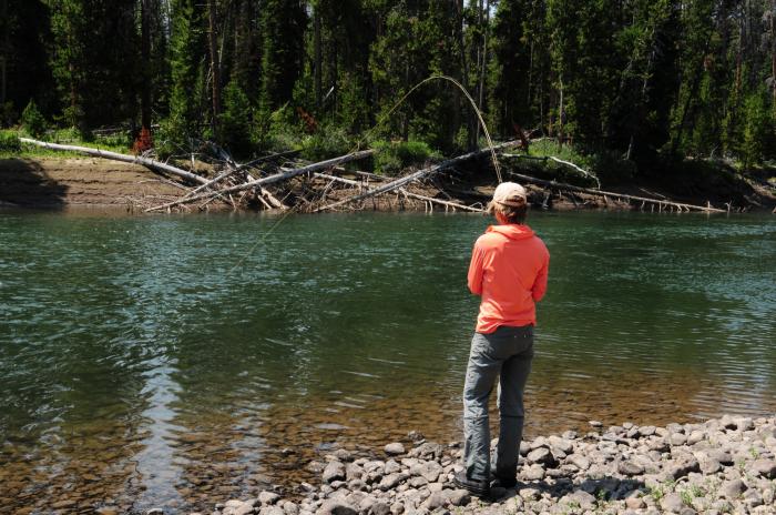 Fishing the Thorofare Yellowstone Park
