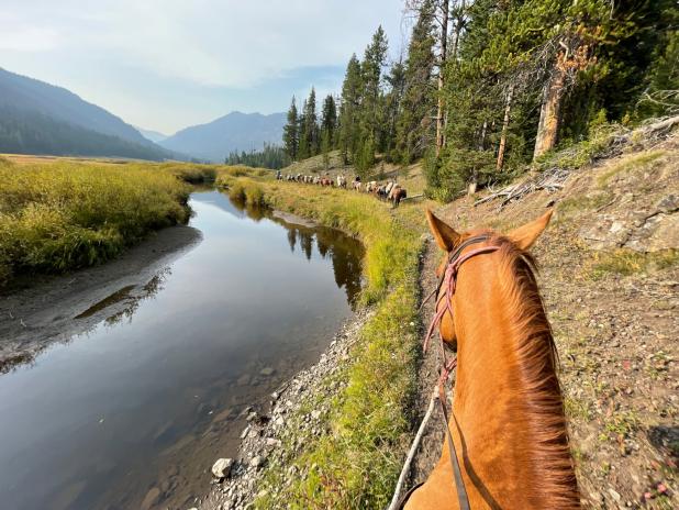 Hellroaring Creek Fly Fishing Pack Trip