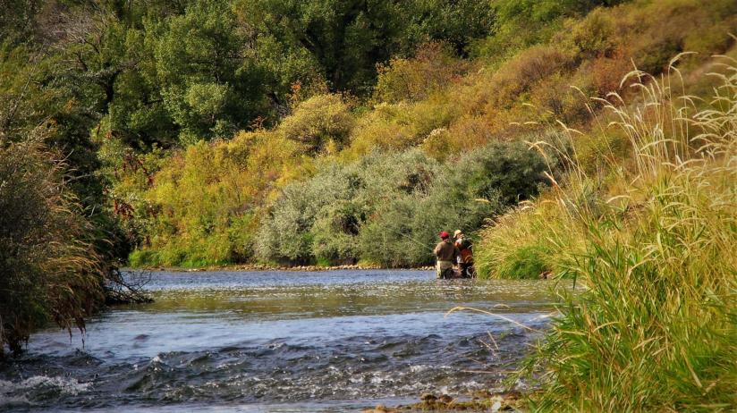 Bighorn River Fishing