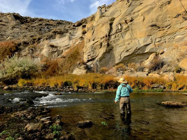 Wyoming Fly Fishing Trips