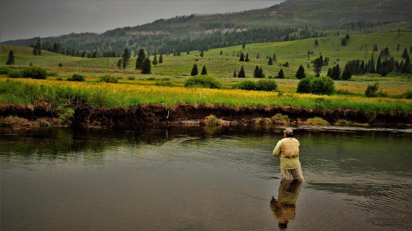 Fly Fishing Slough Creek, Yellowstone Park