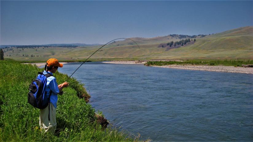 Fly Fishing Yellowstone
