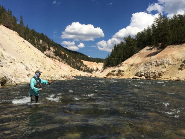 Yellowstone river fly fishing