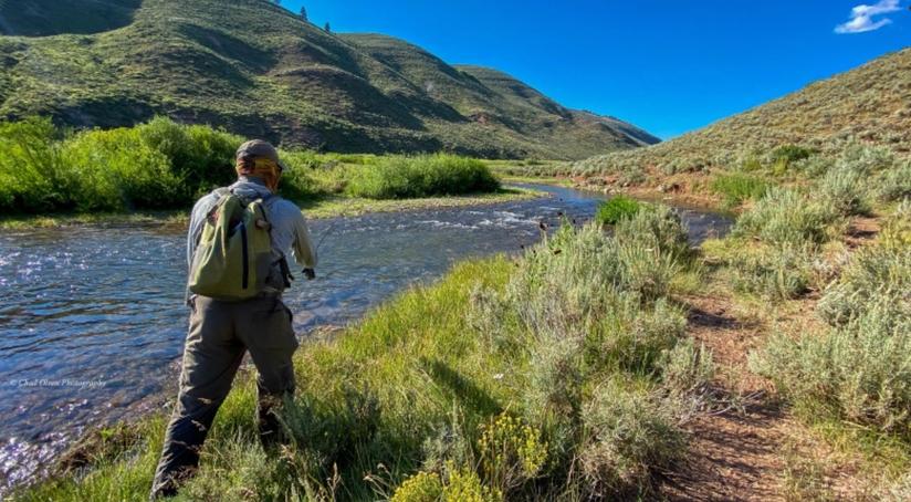 Fly fisherman walking along a river bank with grassy hills on both sides