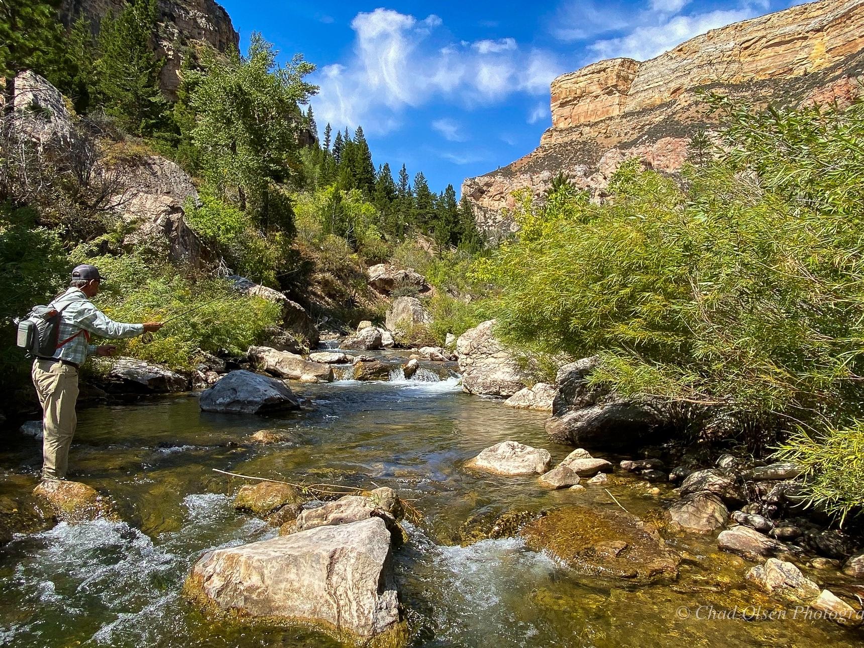 Wade Fishing a Small Creek in Wyoming.