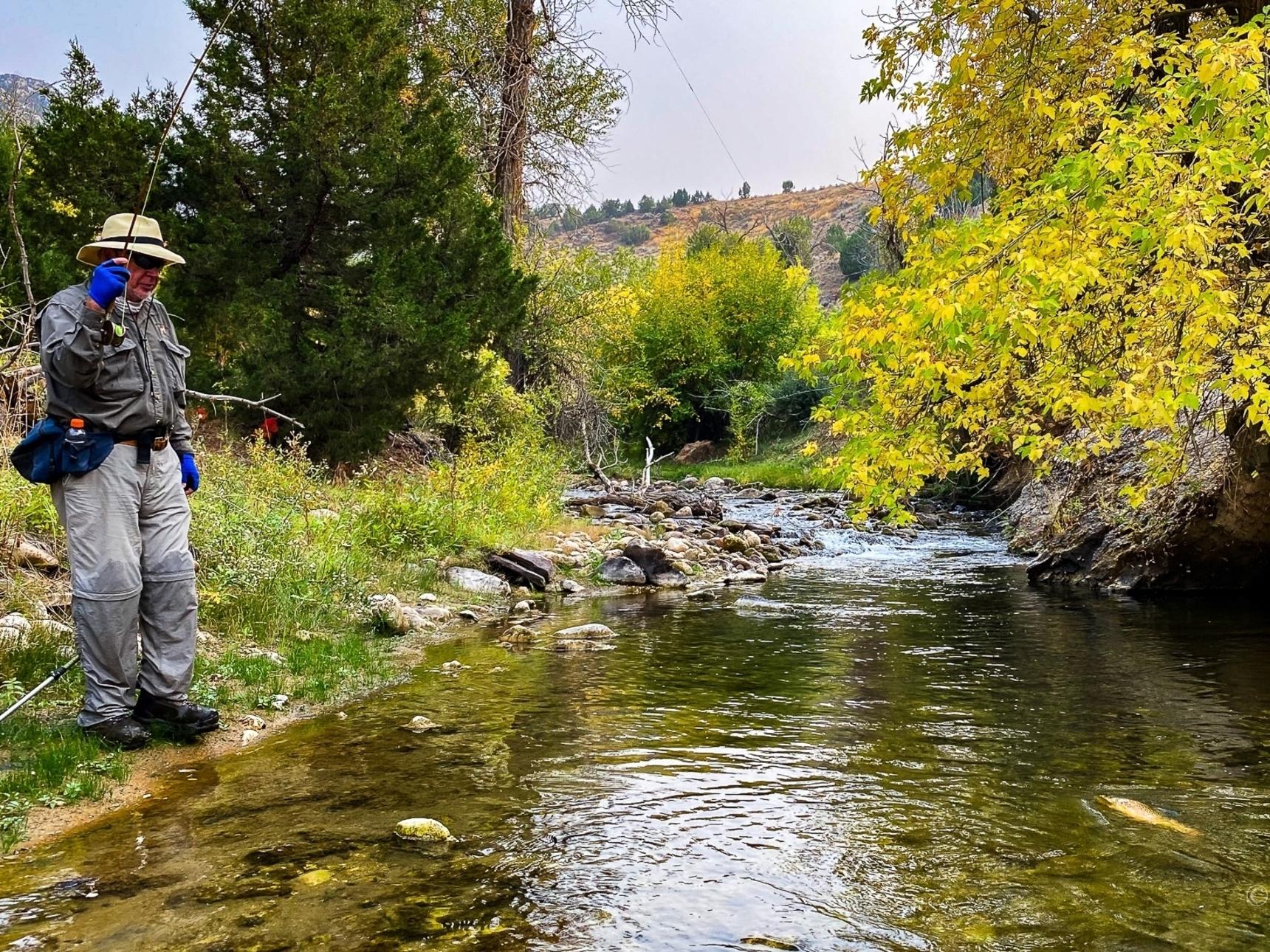 Dan Fighting a Nice Brown Trout on a Private Wyoming Creek