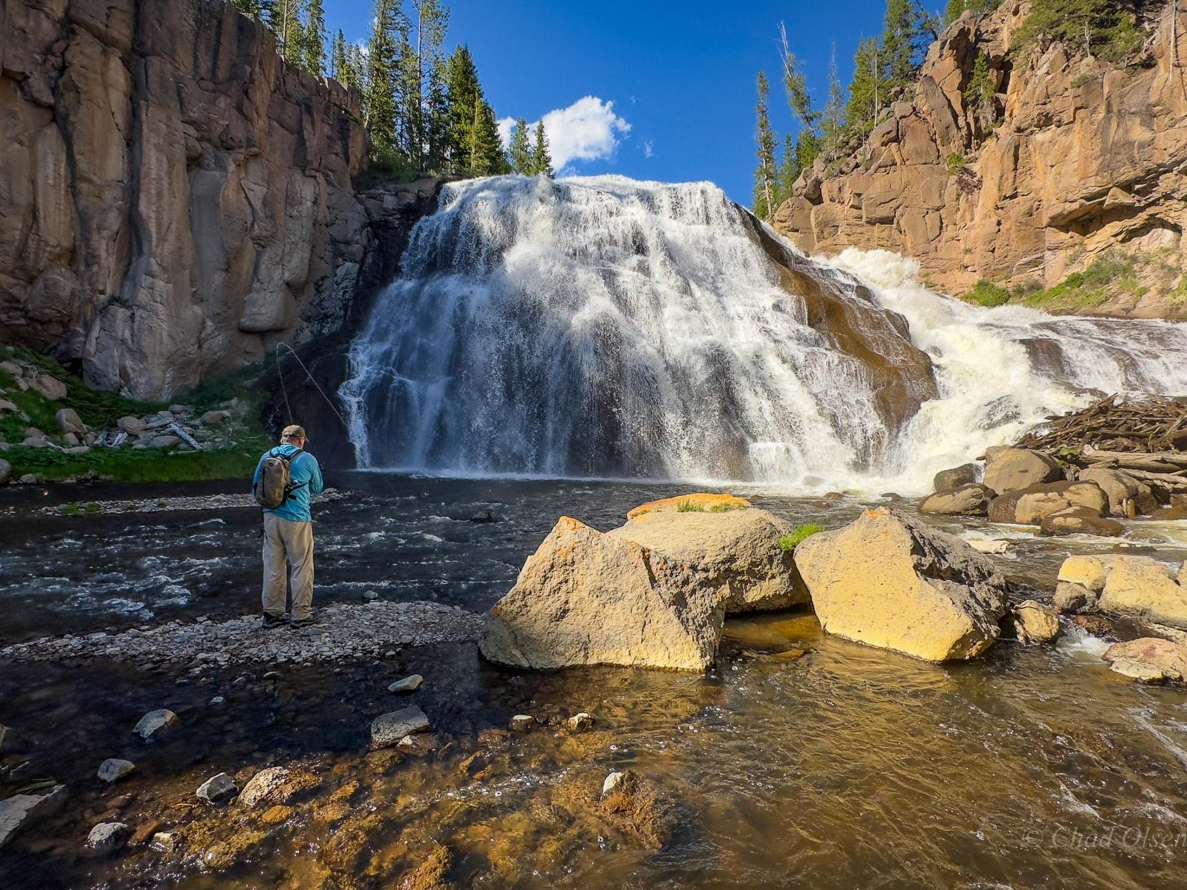 Fly Fishing below Gibbon Falls on the Gibbon River in Yellowstone National Park