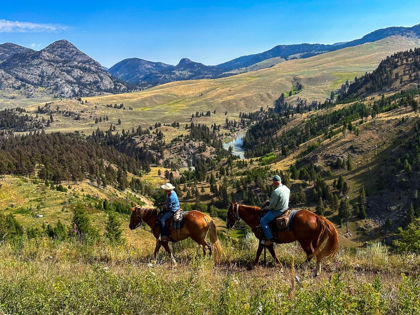 Riding Horseback in Yellowstone National Park